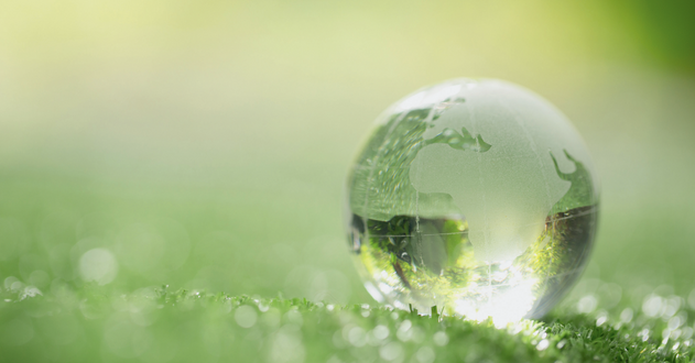 schliessen-sie-oben-von-der-kristallkugel-die-auf-gras-einem-wald-stillsteht